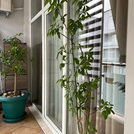 Olive Appartamento